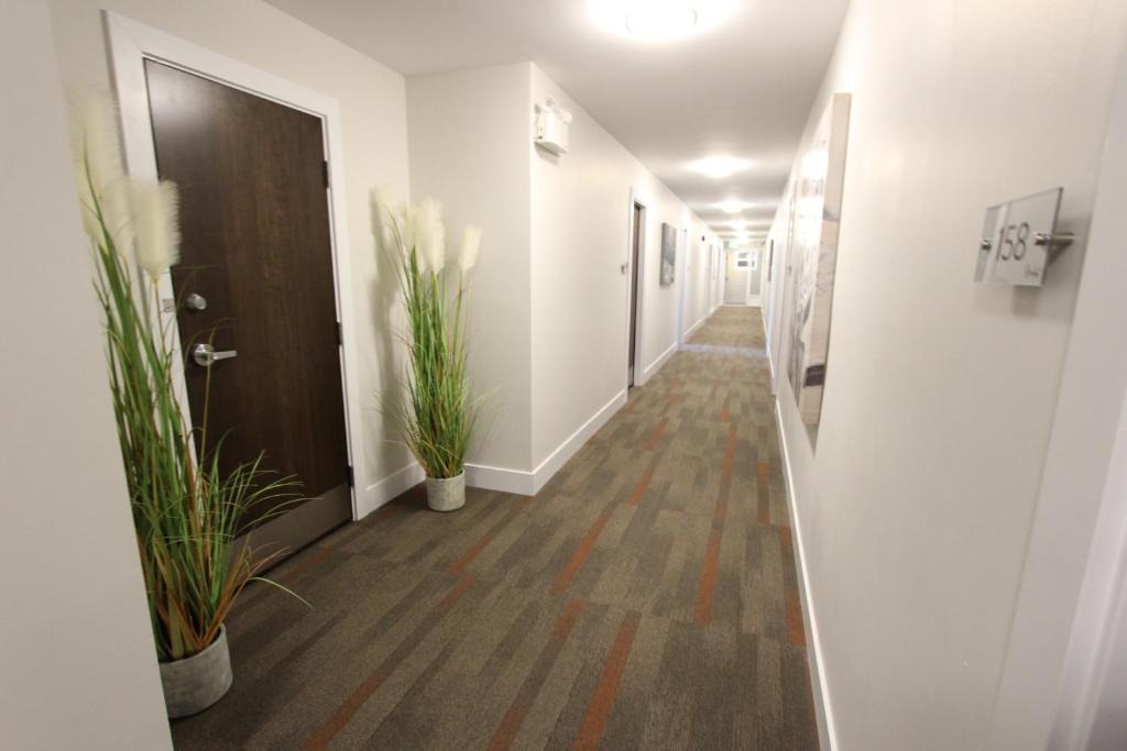 Bedford Hotel | Stardust Motel - Bedford
