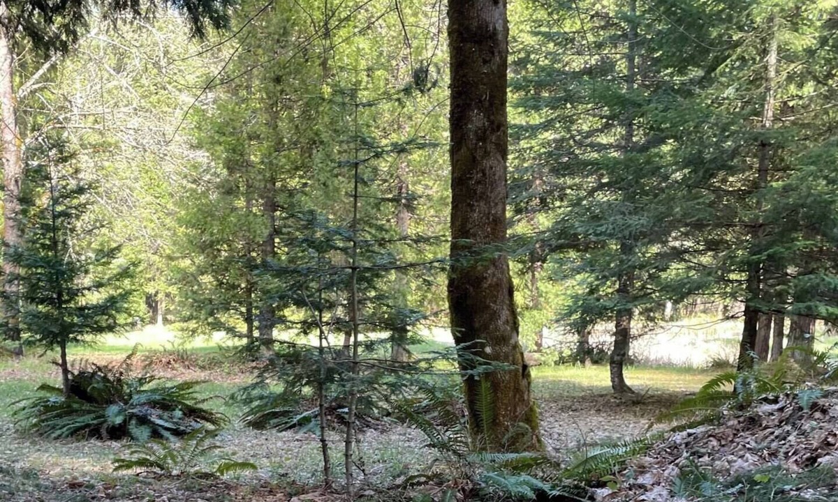 Sunny Valley RV Rental | Starry Skies Campout