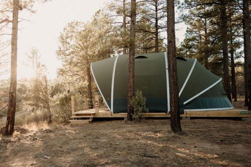 McIntosh Other | Starry Skies Glamping Escape