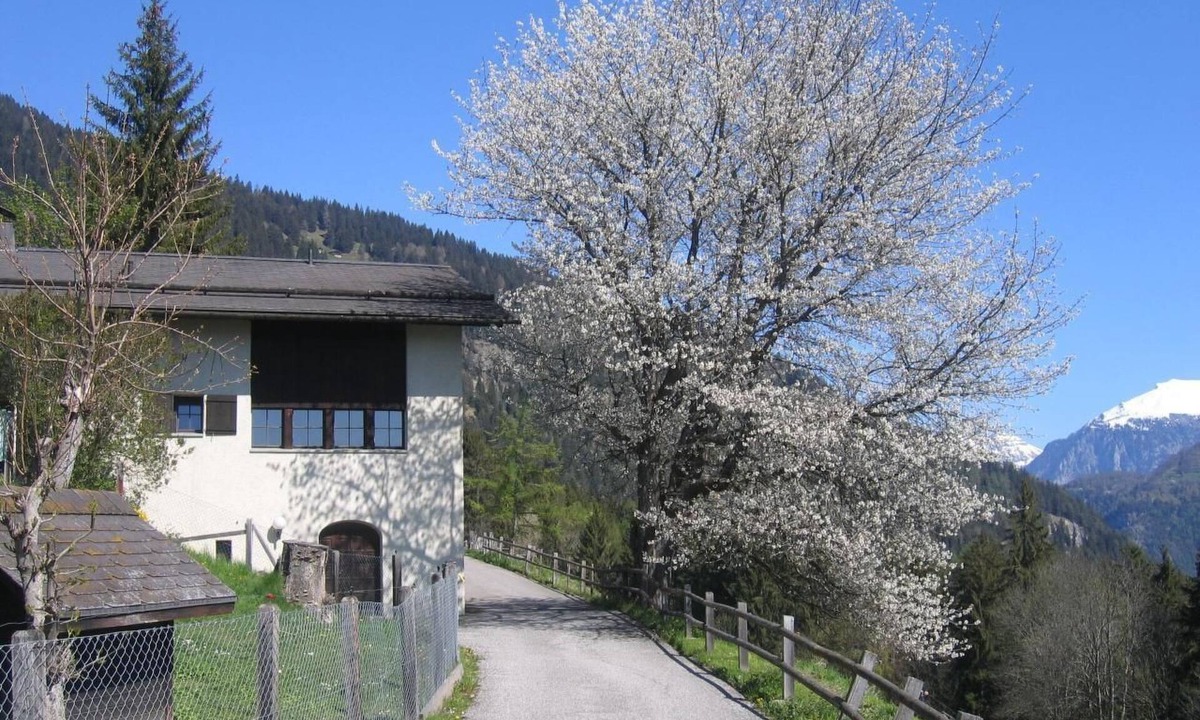 Praz House | Staudenhof Viamala by Interhome