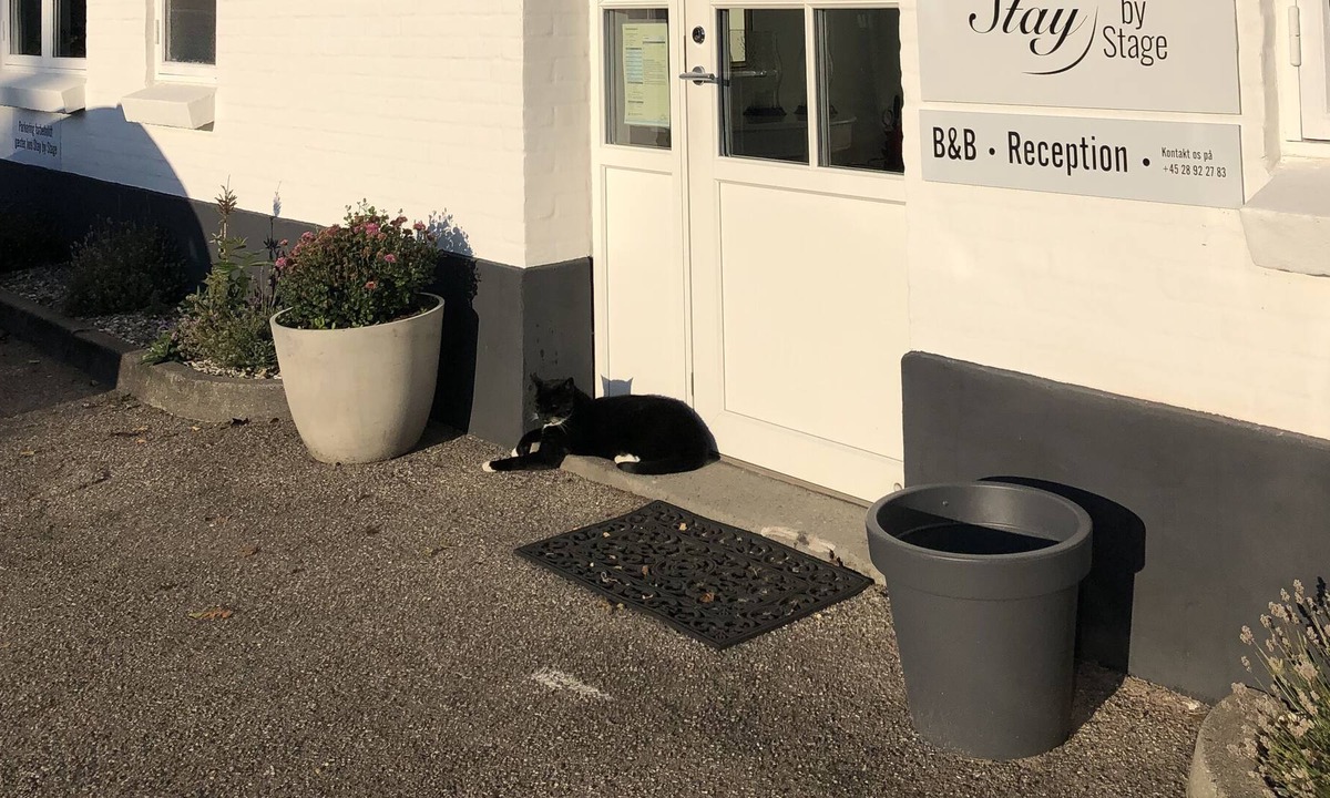 Samsø Bed & Breakfast | Stay by Stage