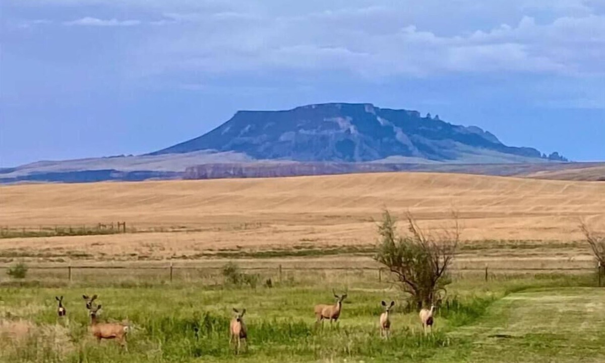 Chouteau County House | Stay Rural