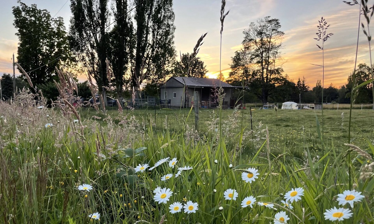 Marietta-Alderwood Apartment | Stay with goats!