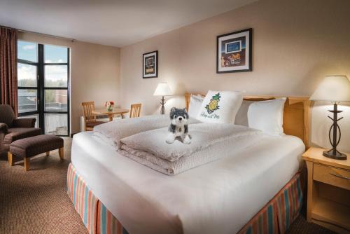 University District Hotel | Staypineapple, University Inn, University District Seattle