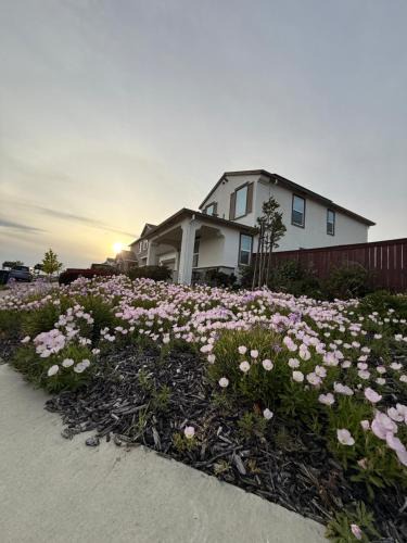Rio Vista Villa | #stayRioVista -Country Club House with Hot Tub-Sauna-Firepit-Garden-Games