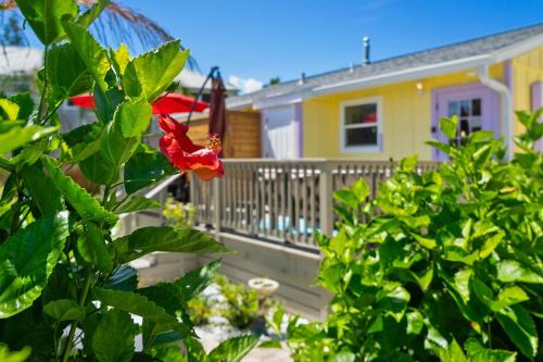 Crescent Beach House | Steps to Beach Patio Fire Pit Tropical Oasis