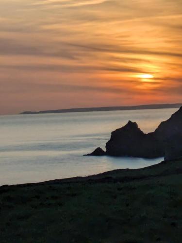 The Lizard House | Sterennyk