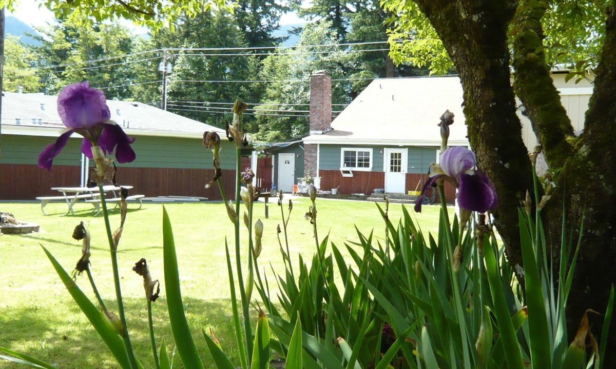 Gold Bar Hotel | Stevens Pass Motel