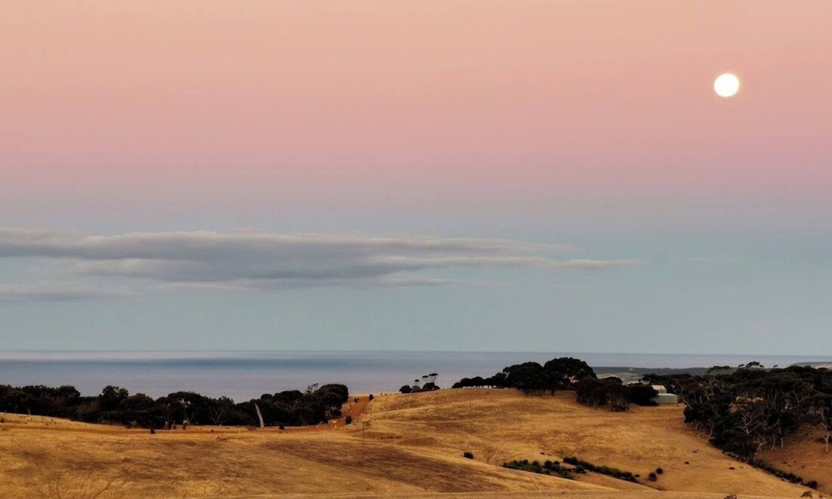 Duncan House | Still Windy Couple's Getaway