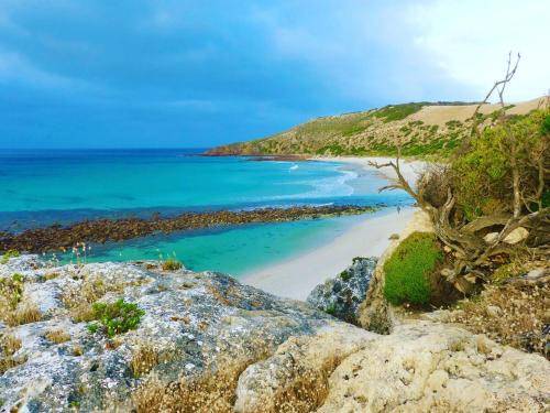 Duncan House | Stokes Bay Surf Shack