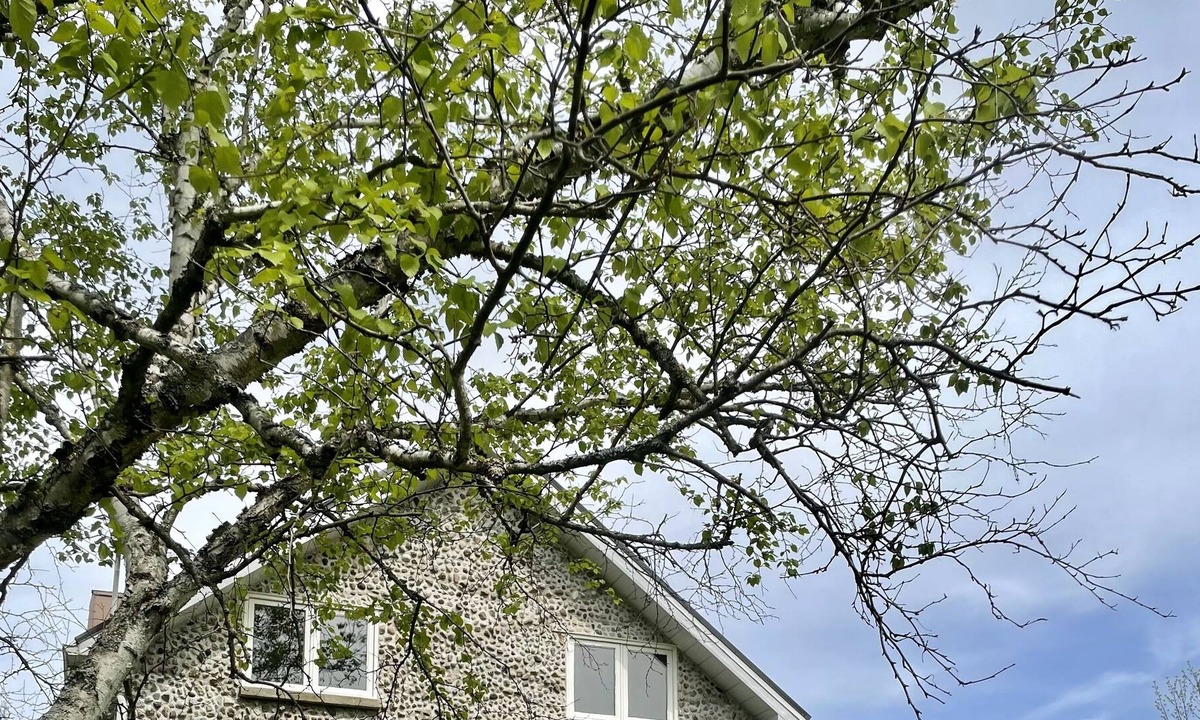 Lafontaine Cottage | Stone Cottage 5 minute walk to beach