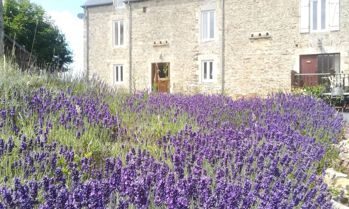 Sainte-Marguerite-d'Elle House | Stone cottage with garden