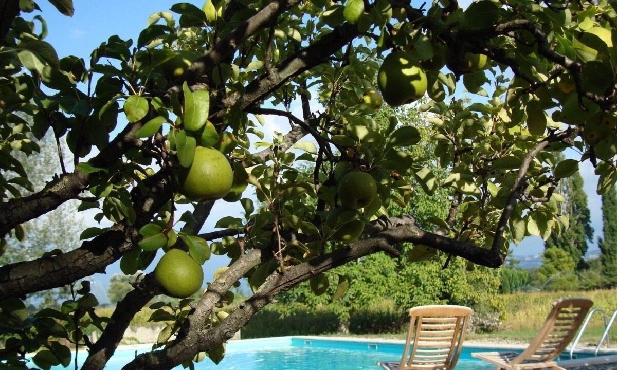 La Laupie Other | Stone guest house on large traditional Provence "mas" oversized pool