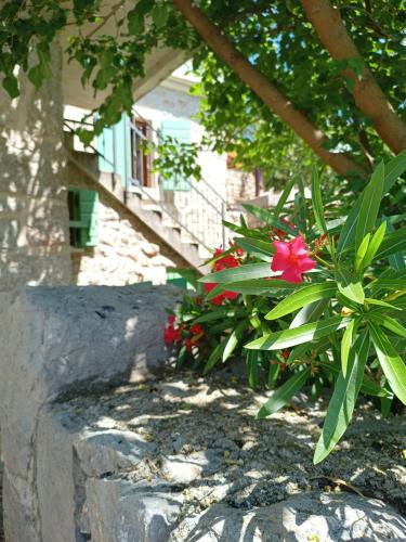 Tribanj House | Stone house Adrian
