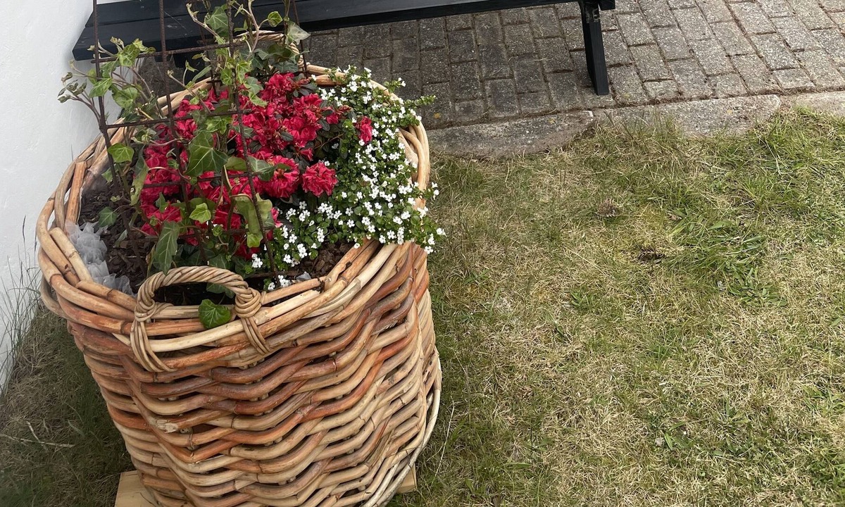 Snedsted Bed & Breakfast | Stone Mountain BnB