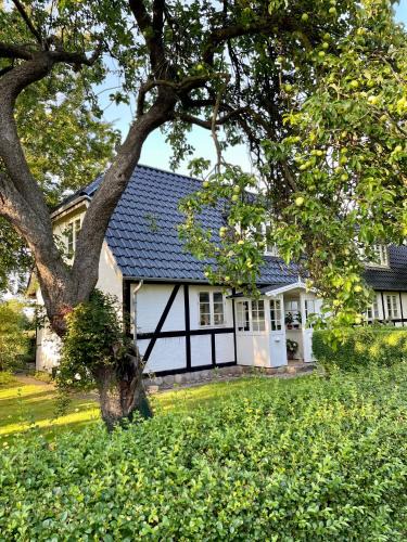 Nykobing Falster Bed & Breakfast | Strandby 1847 B&B