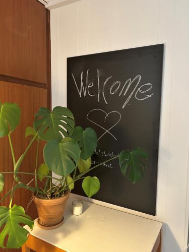Hirtshals Hotel | Strandlyst Rooms, Self Service, Tornby Strand Hirtshals