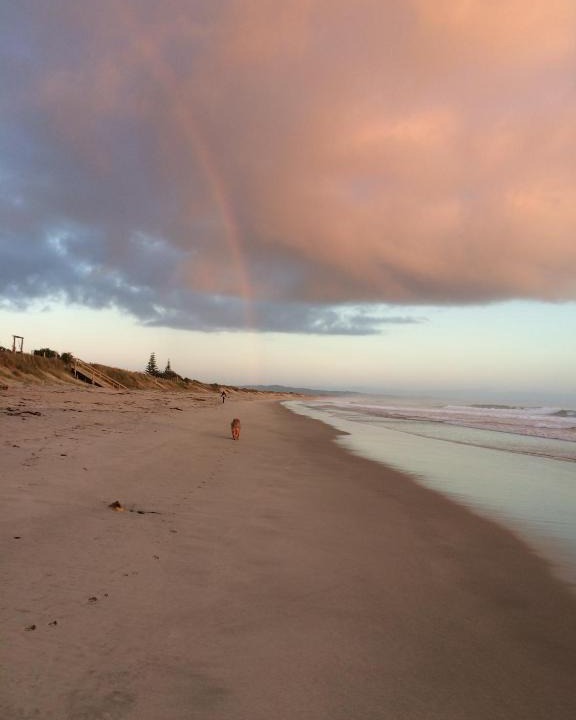 Waipu Bed & Breakfast | Strathaven Bed and Breakfast