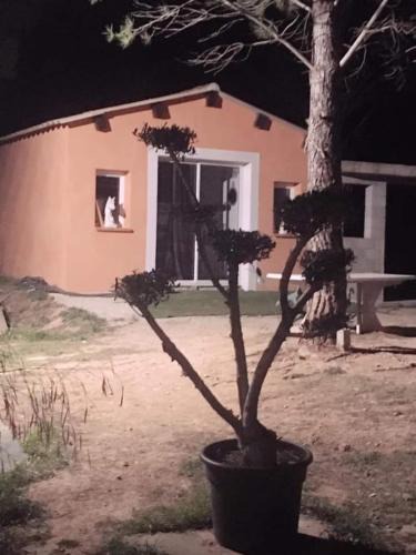 Le Thoronet House | Studio Églantine