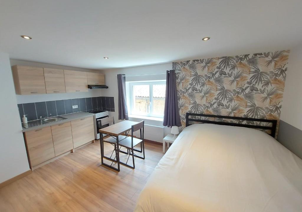 Luneville Apartment | ° studio 2 - Lunéville centre °