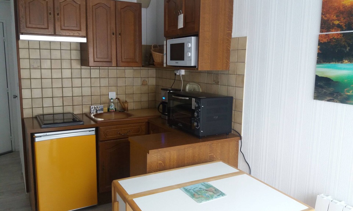 Bagneres-de-Luchon Apartment | studio 2 people downtown with lift and garage
