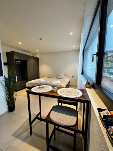 Beinwil am See Apartment | Studio am See