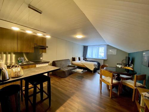 Goeschenen Apartment | Studio Apartment Göschenen