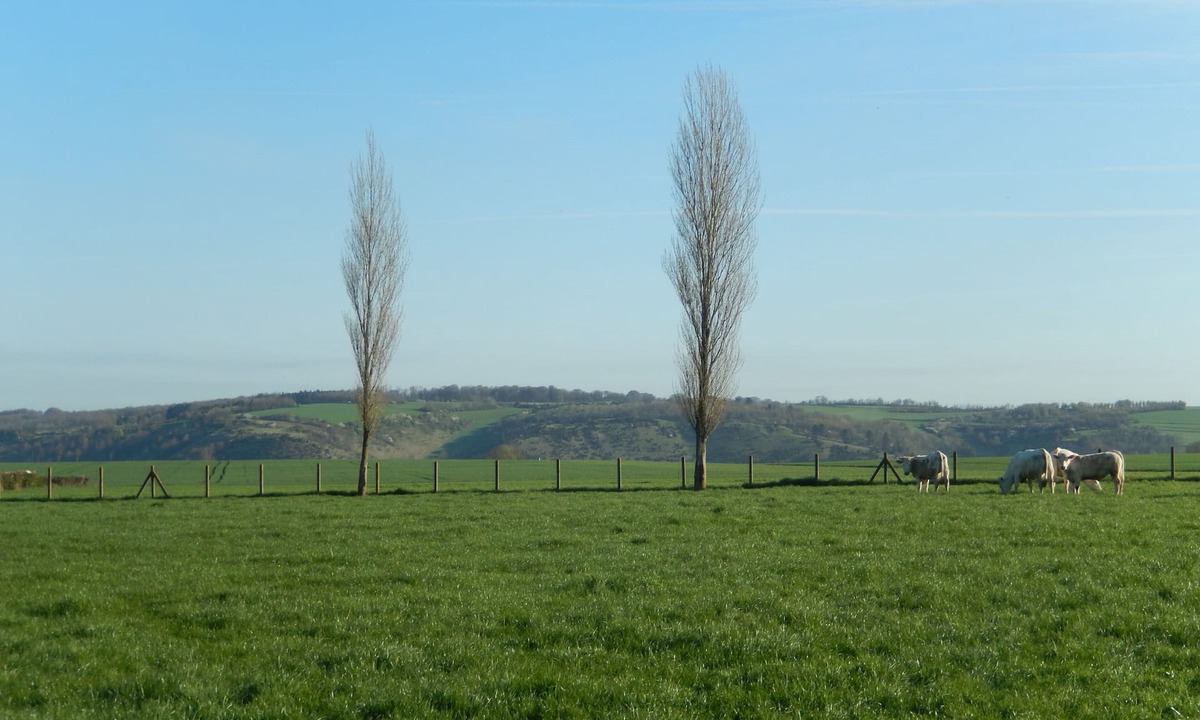 Wavrans-sur-l'Aa Apartment | STUDIO Appart gite Petite Halte,. work, vacation.