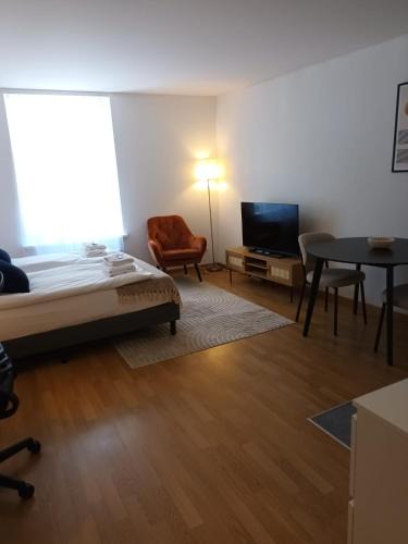 Old Town Apartment | Studio at famous Storchengasse - Stork 44