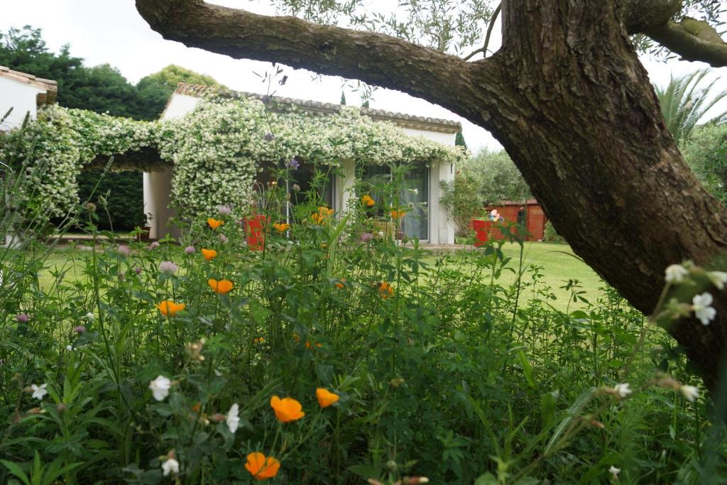 Beauvoisin Bed & Breakfast | Studio au coeur de la petite camargue