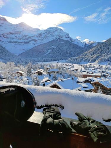 Ormont-Dessus Apartment | Studio avec vue splendide sur les Diablerets