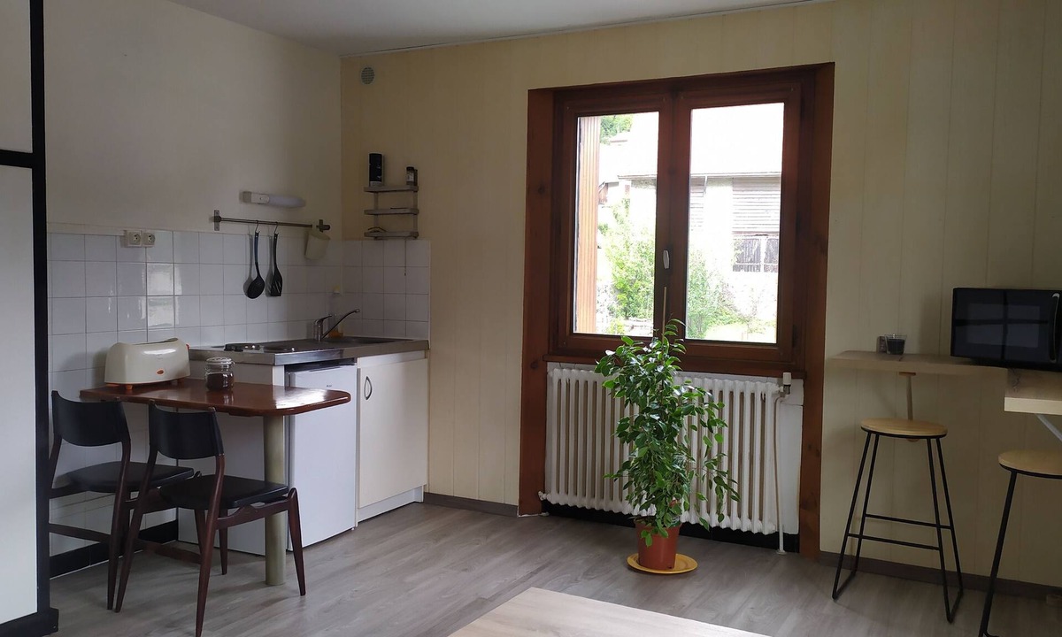 Faverges-Seythenex Apartment | Studio between lake and mountains