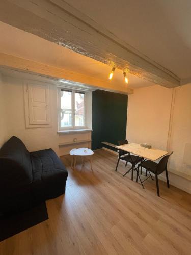 Besancon Old Town Apartment | Studio centre ville