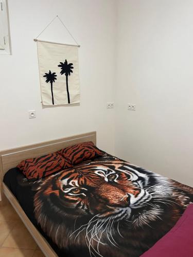 Tarbes Apartment | Studio Centre Ville