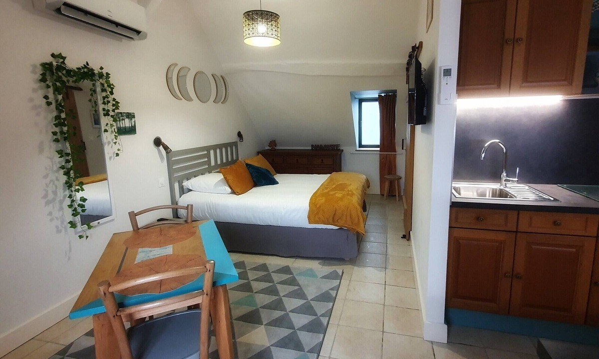 La Charite-sur-Loire Apartment | Studio charme, quiet, bright, exceptional view