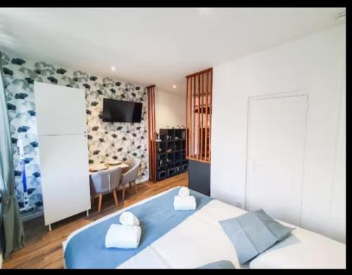Albi Apartment | Studio climatisé tout confort