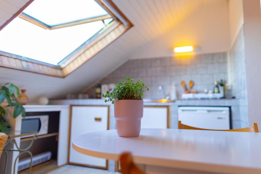 Belfort Apartment | Studio cocon sous les toits de Jaurès