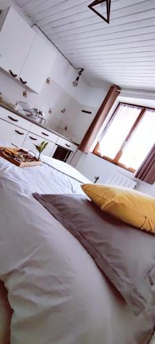 Aulus-les-Bains Apartment | Studio confort montagne