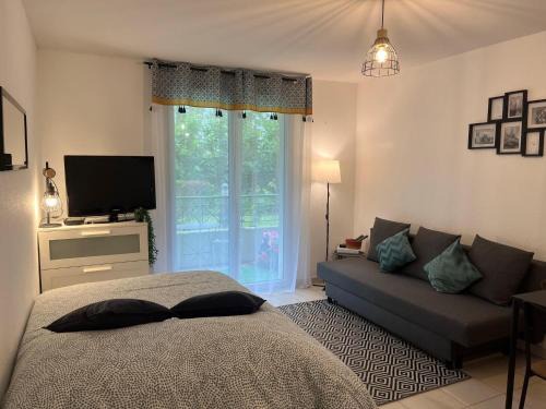 Montrejeau Apartment | Studio Cosy avec parking privatif