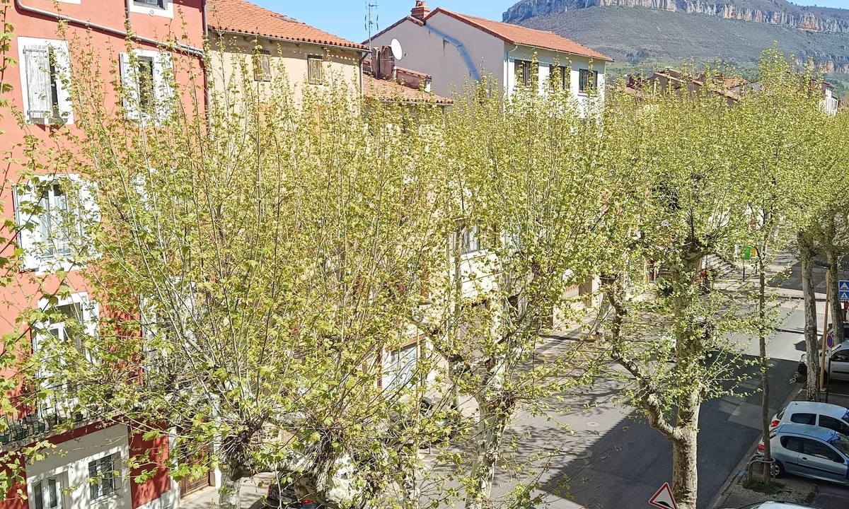 Millau Apartment | Studio Cosy - Plein Cœur Millau