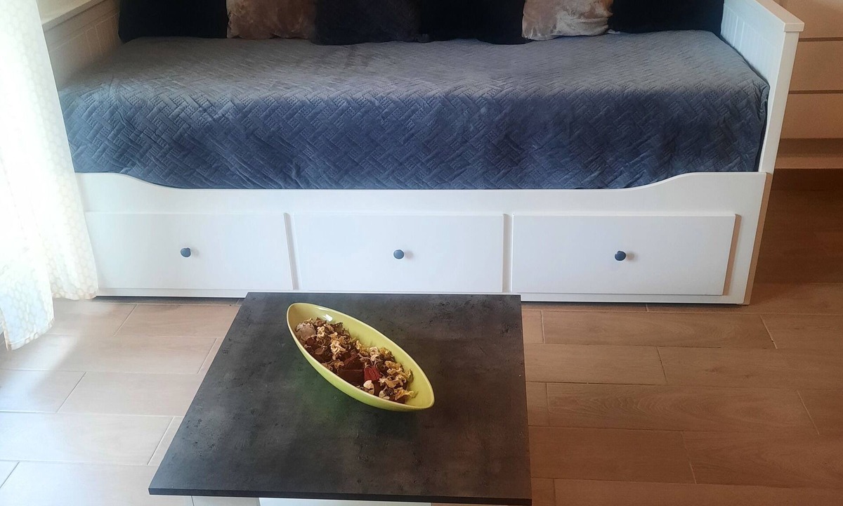 Etrembieres Apartment | Studio de 22m 2