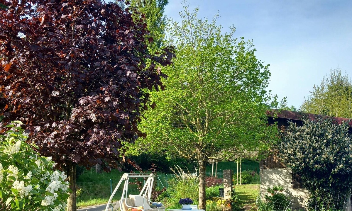 Puberg Apartment | Studio en Pleine Nature Sans vis à vis