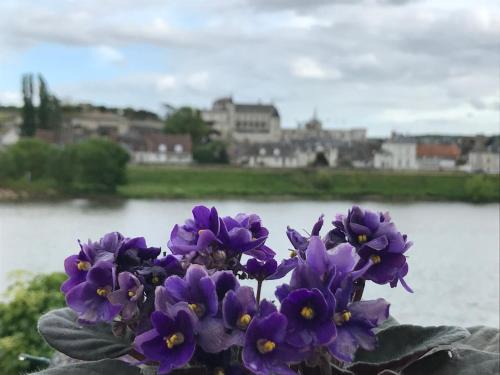 Amboise Apartment | Studio en Touraine