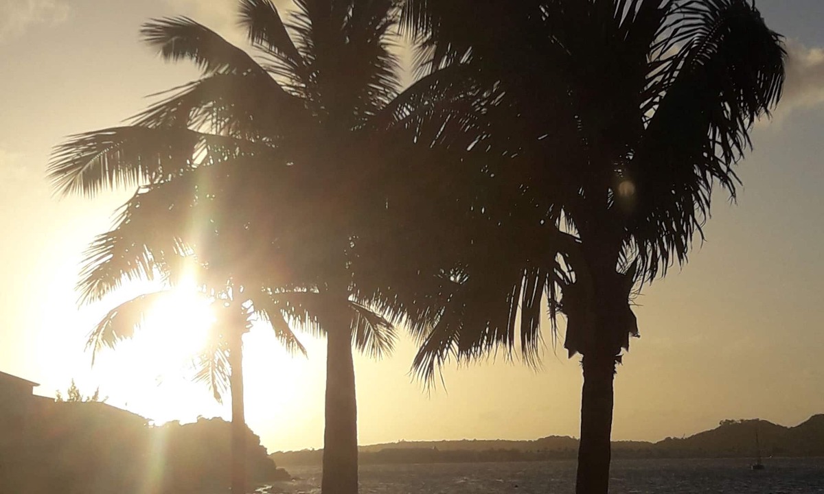 Marigot Apartment | Studio "Entre Terre et Mer" Residence Anse des Sables