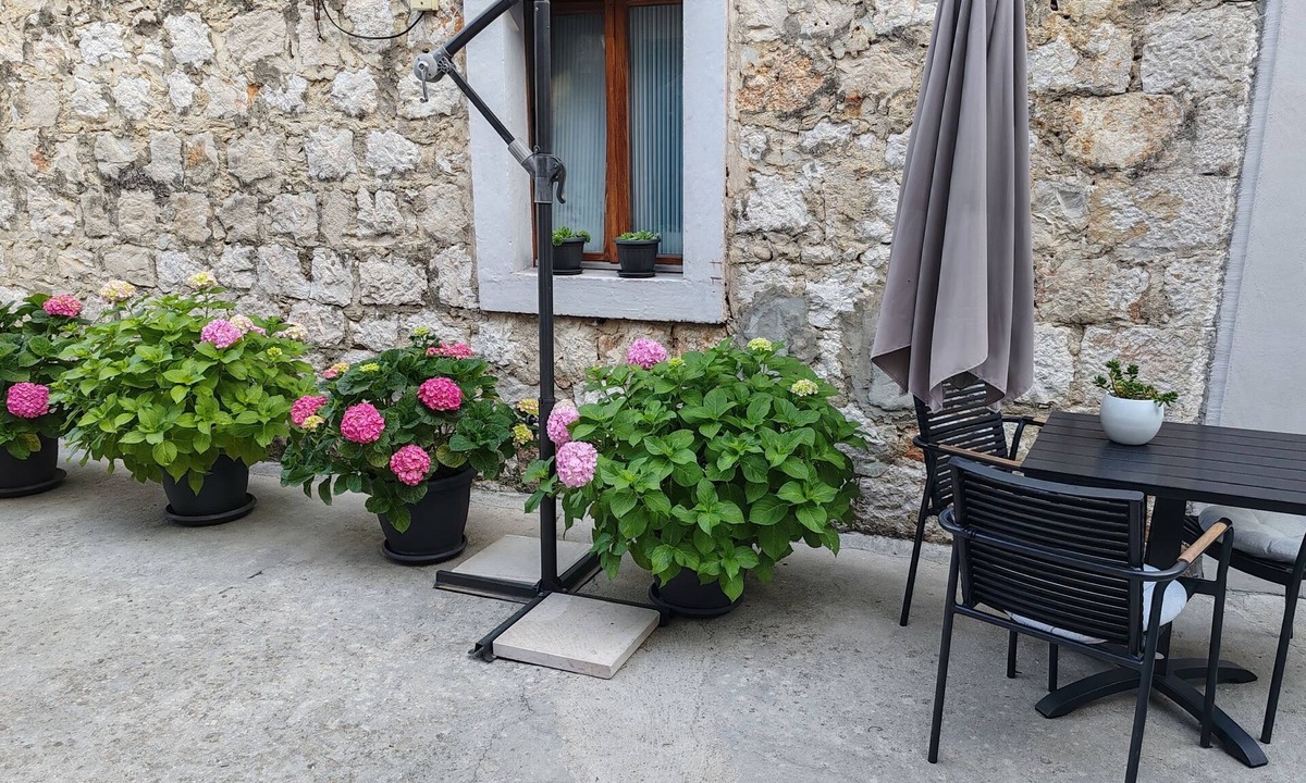 Zaton Apartment | Studio flat with terrace Zaton Veliki, Dubrovnik (AS-2107-b)