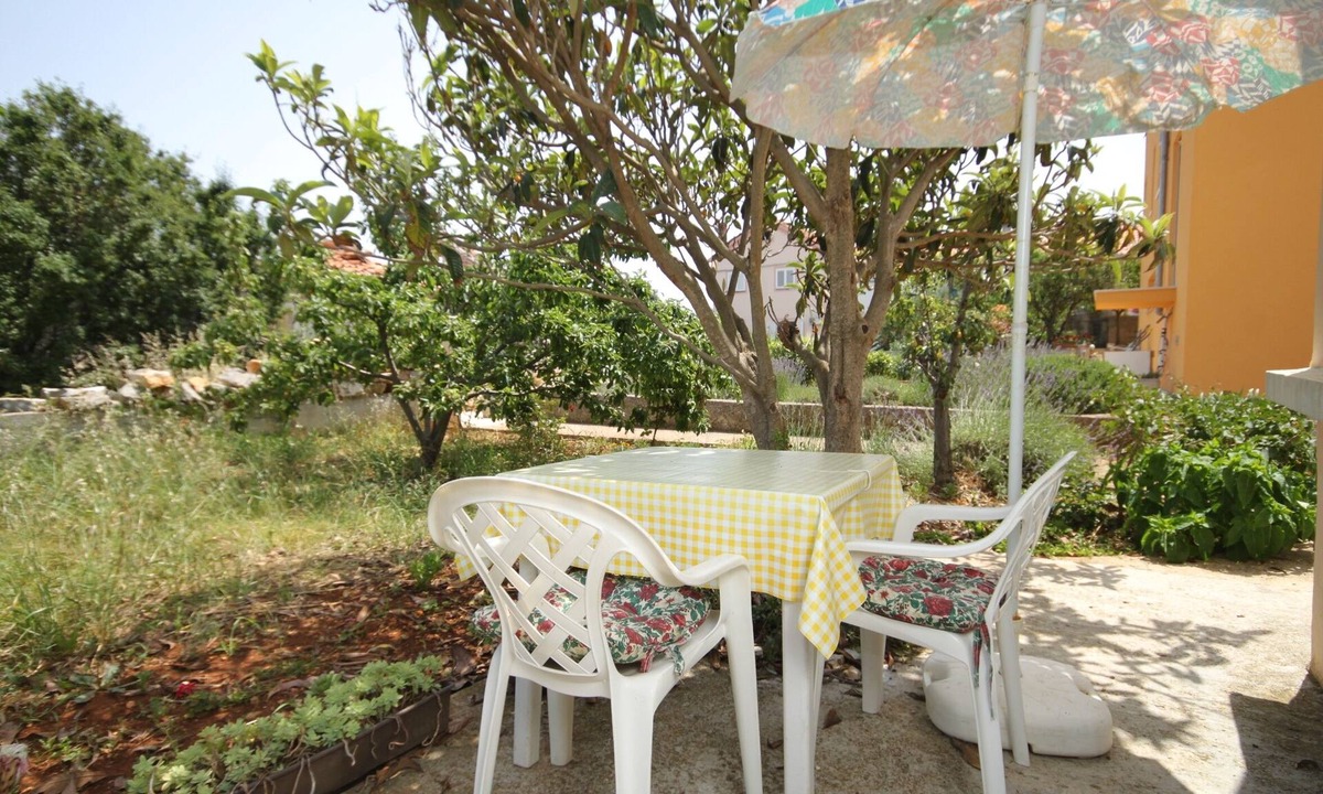 Bozava Apartment | Studio flat with terrace Božava (Dugi otok) (AS-8108-b)