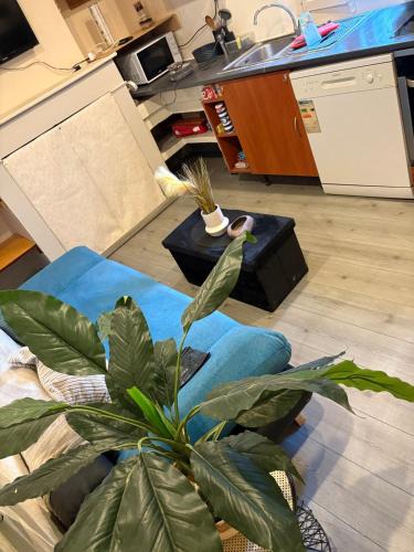 Graulhet Apartment | Studio