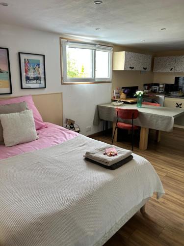 Saint-Jacques-de-la-Lande Apartment | Studio proche parc expo et aéroport