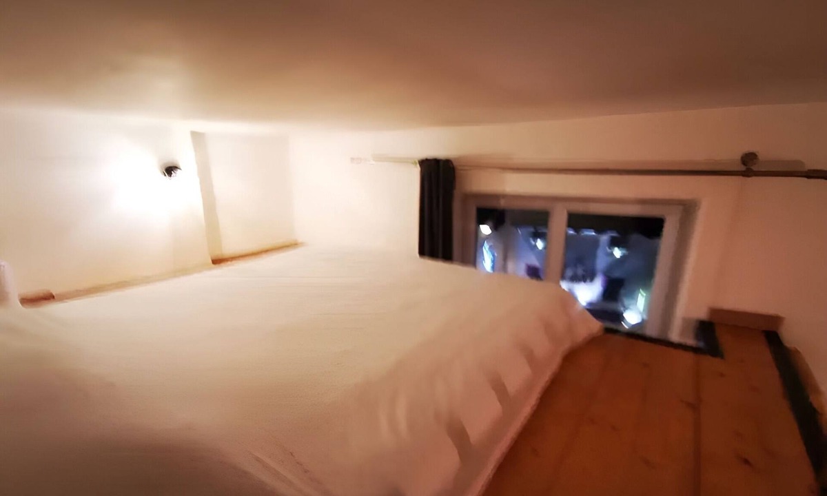 La Demi - Lune Apartment | Studio Hypercentre Tassin - 1