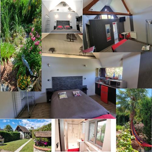 Ande House | studio mil roses